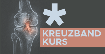 Skizze von einem Knie mit Kreuzband und dem Schritzug Kreuzband Kurs sowie dem Stern von HNL Physiotherapie
